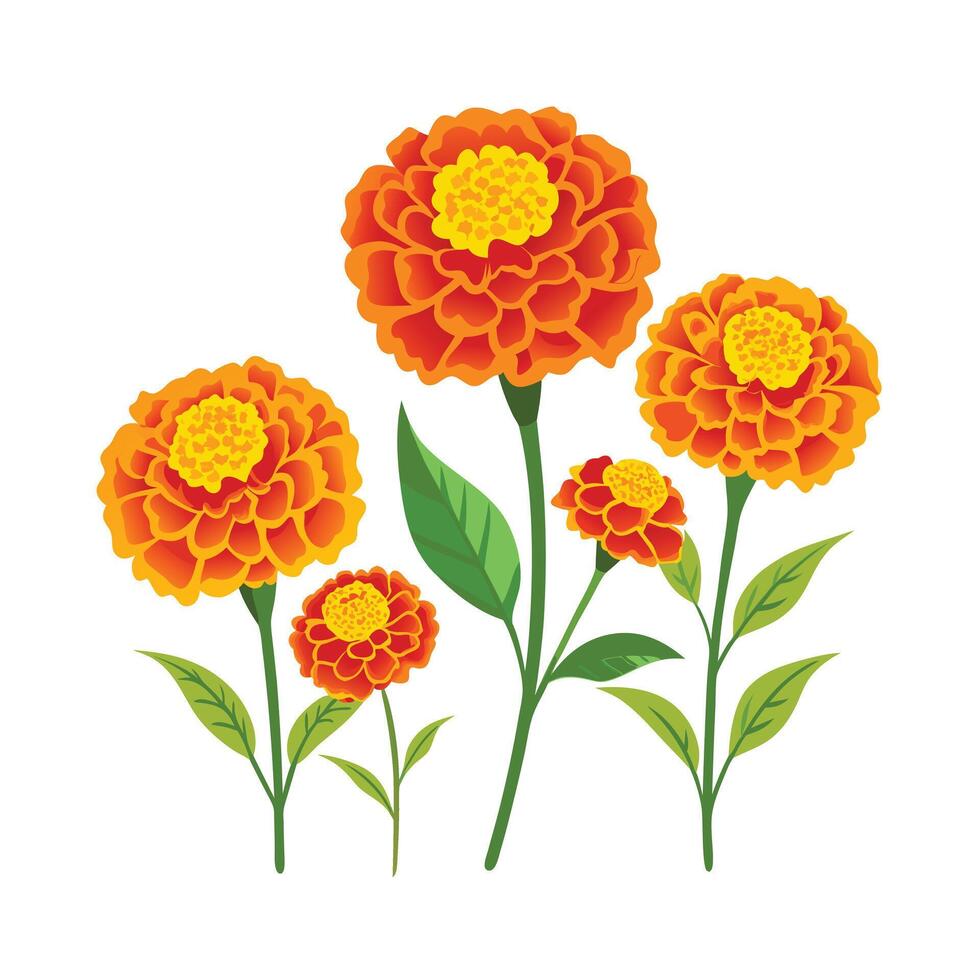 Beautiful Flower Minimalist Floral Illustration vector