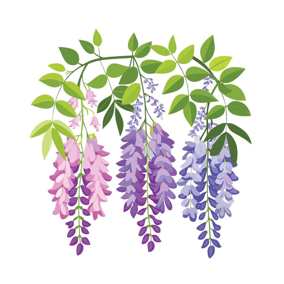 Beautiful Flower Minimalist Floral Illustration vector