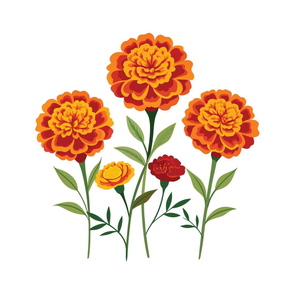 Beautiful Flower Minimalist Floral Illustration vector