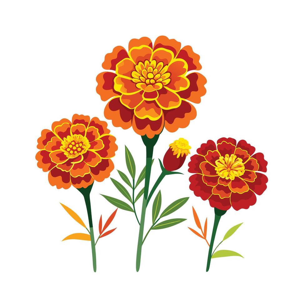 Beautiful Flower Minimalist Floral Illustration vector