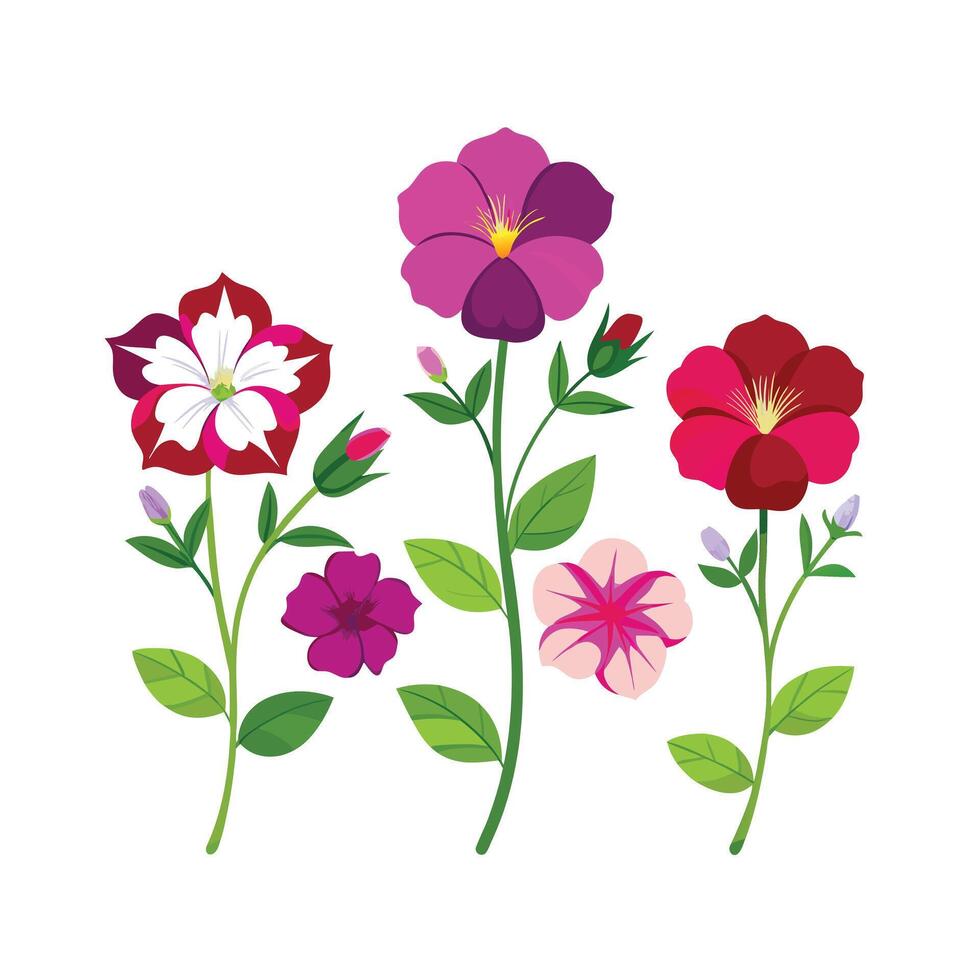 Beautiful Flower Minimalist Floral Illustration vector