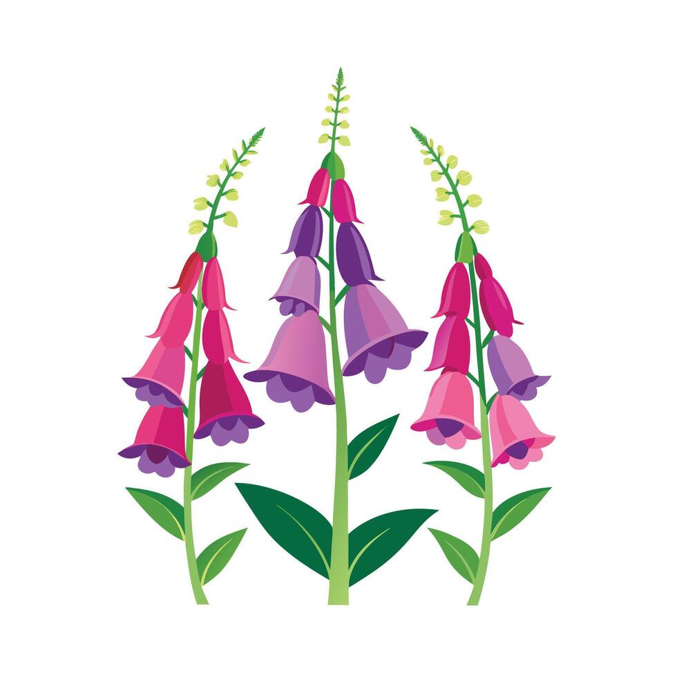 Beautiful Flower Minimalist Floral Illustration vector