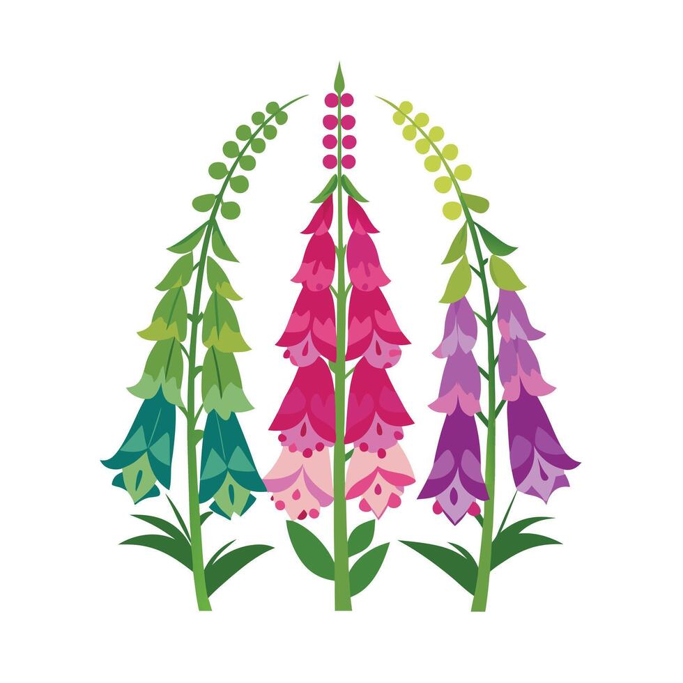 Beautiful Flower Minimalist Floral Illustration vector