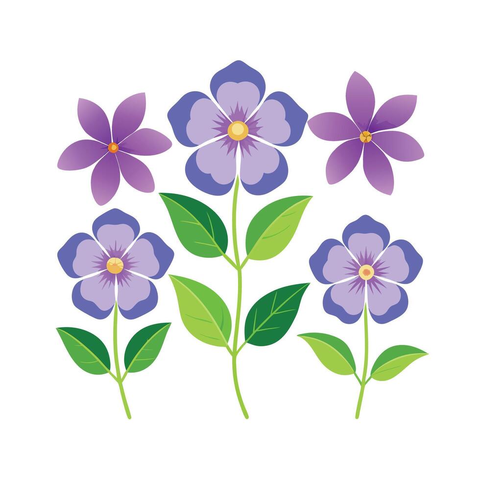 Beautiful Flower Minimalist Floral Illustration vector