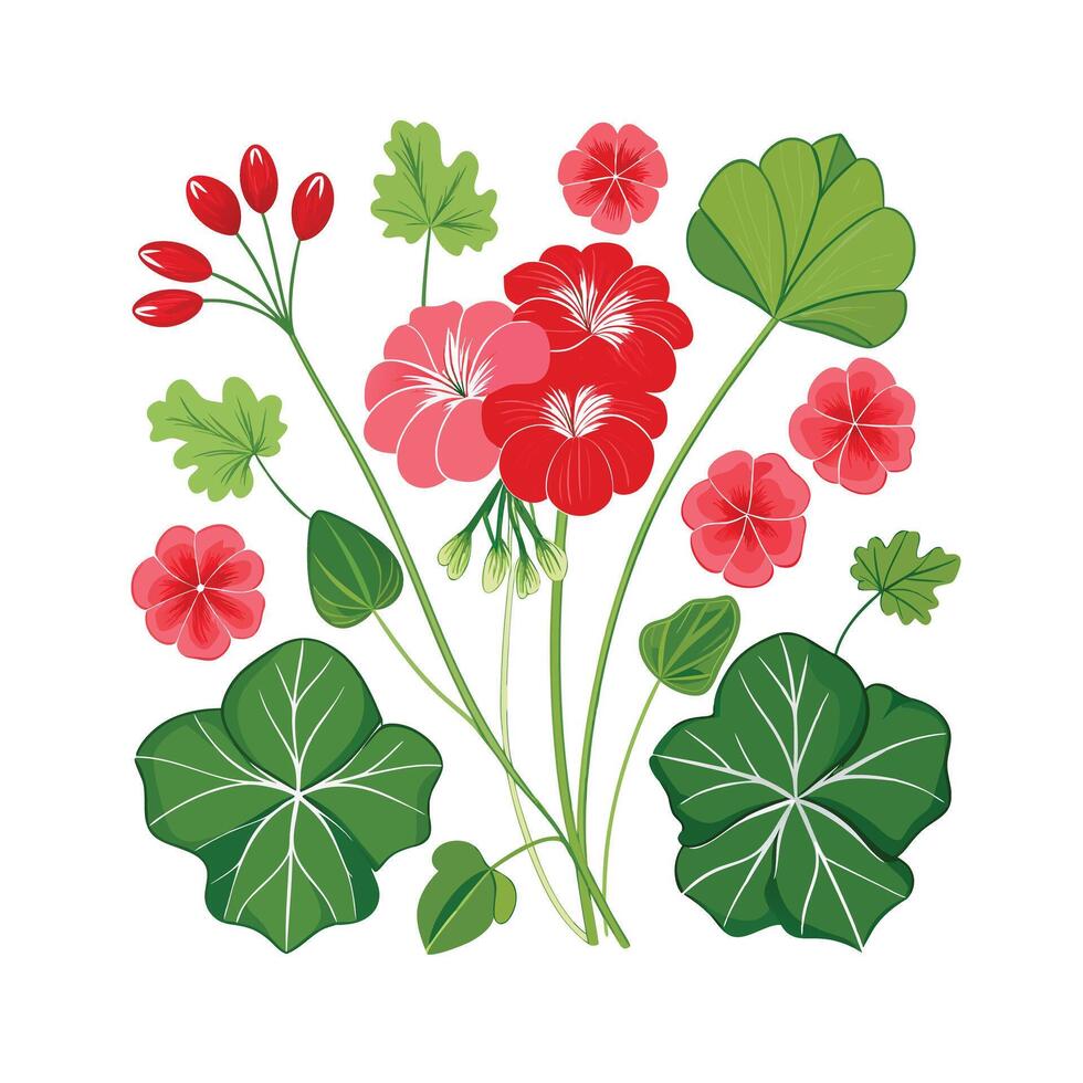Beautiful Flower Minimalist Floral Illustration vector