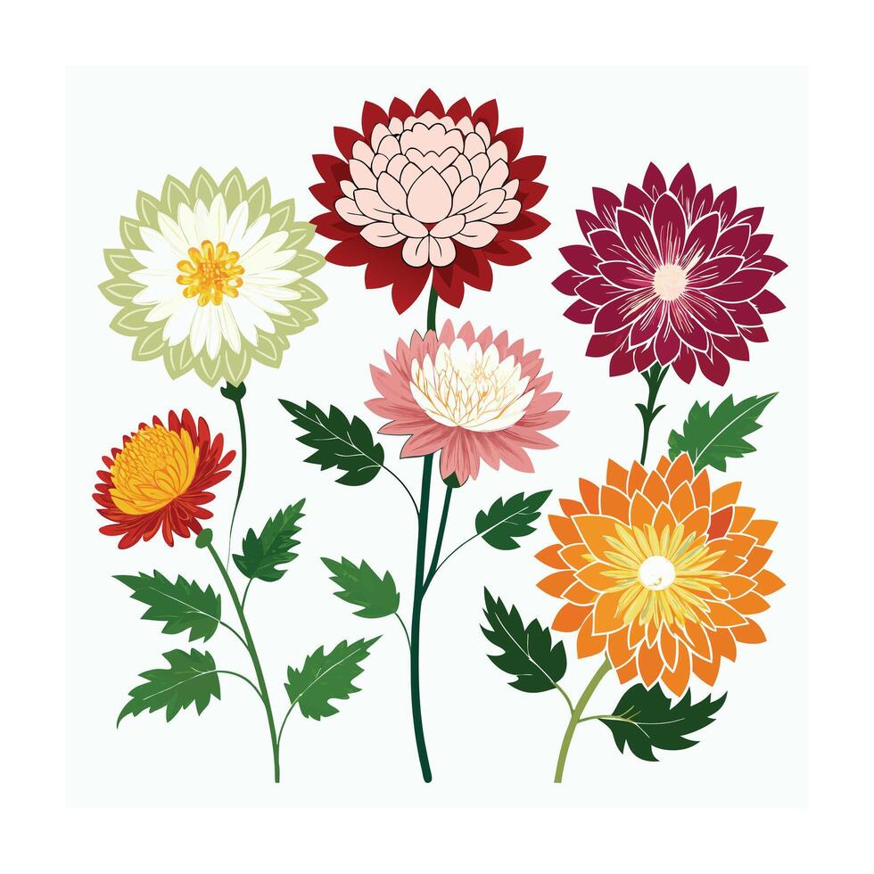 Beautiful Flower Minimalist Floral Illustration vector