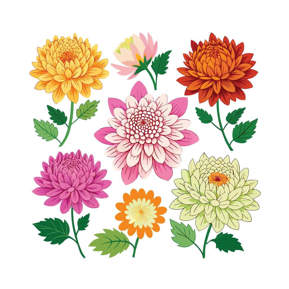 Beautiful Flower Minimalist Floral Illustration vector