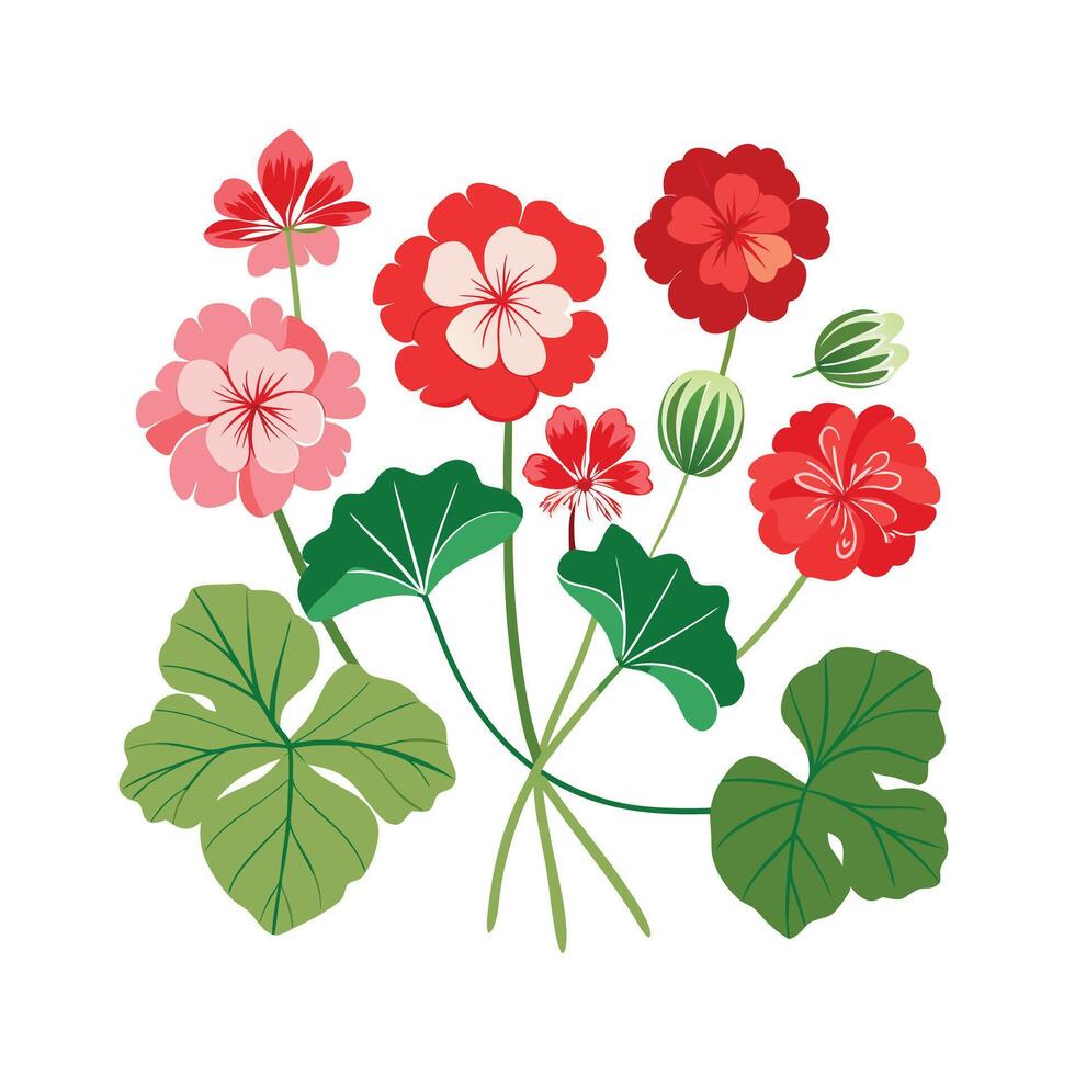 Beautiful Flower Minimalist Floral Illustration vector