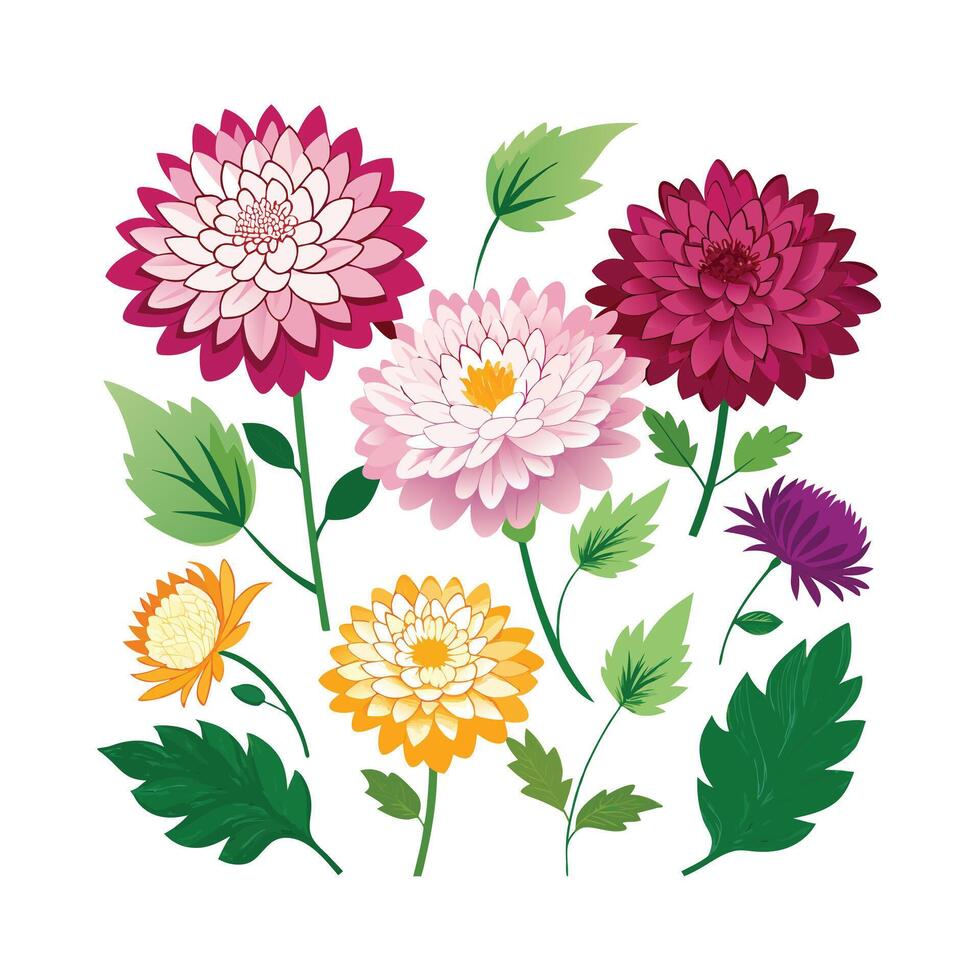Beautiful Flower Minimalist Floral Illustration vector