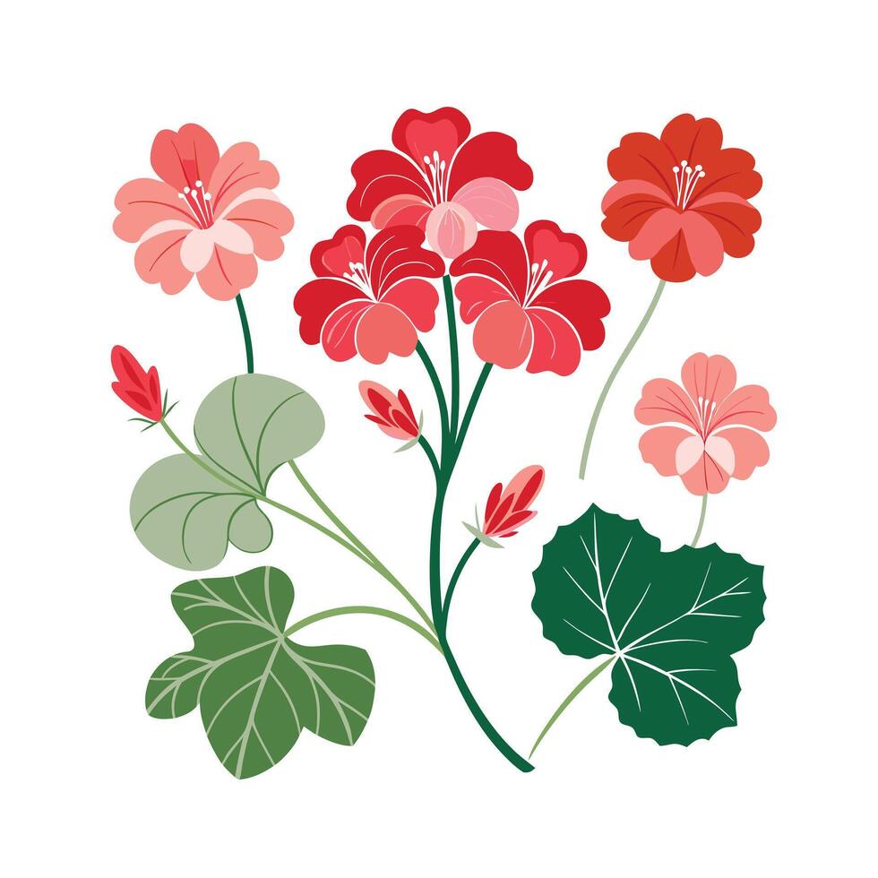 Beautiful Flower Minimalist Floral Illustration vector