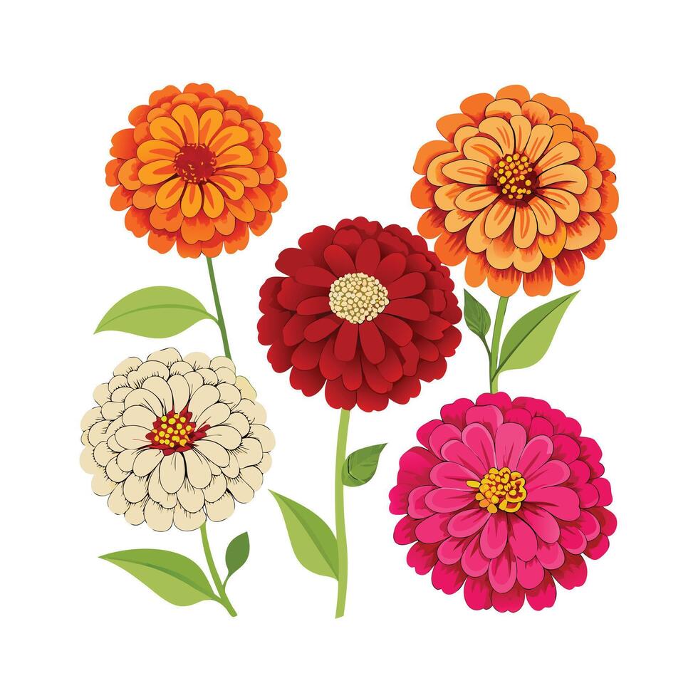 Beautiful Flower Minimalist Floral Illustration vector