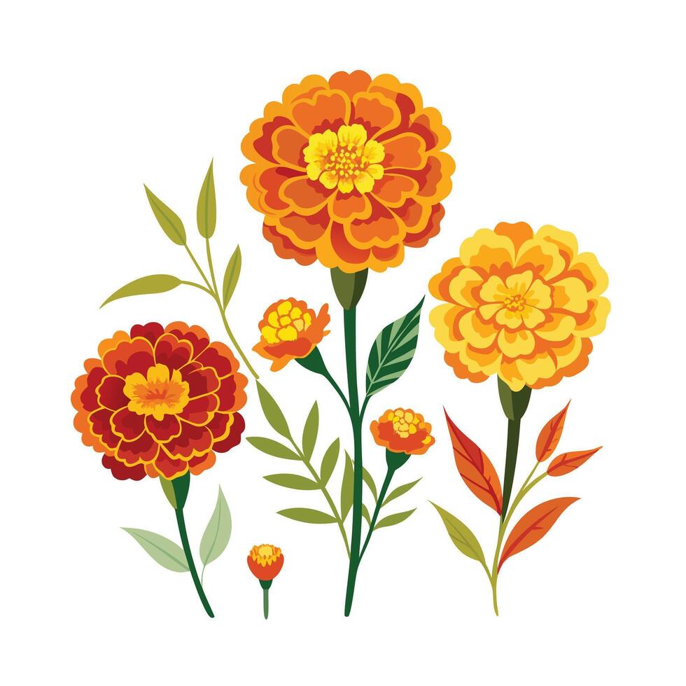 Beautiful Flower Minimalist Floral Illustration vector