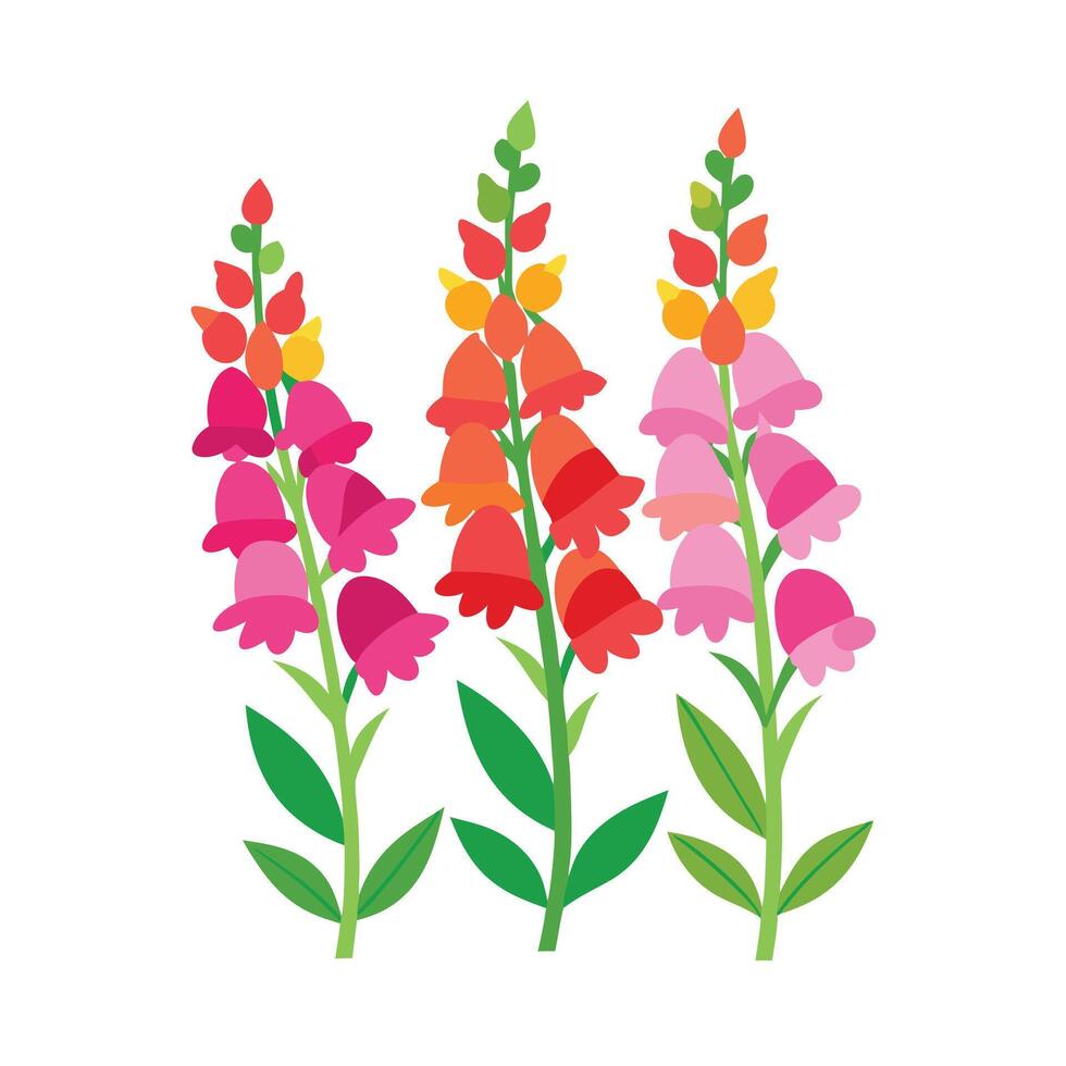 Beautiful Flower Minimalist Floral Illustration vector