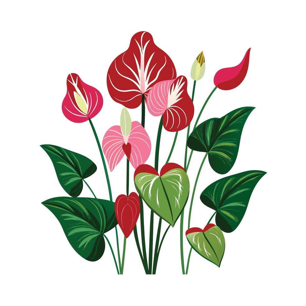Beautiful Flower Minimalist Floral Illustration vector