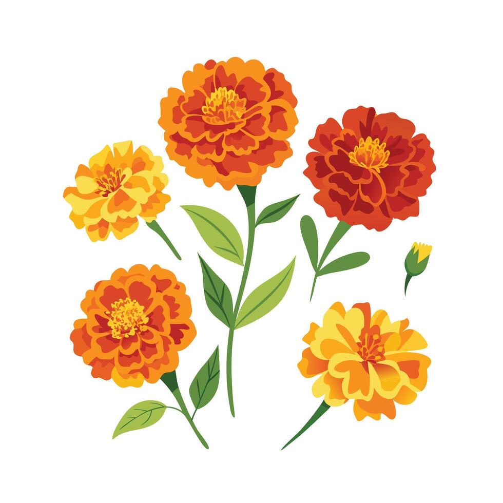 Beautiful Flower Minimalist Floral Illustration vector