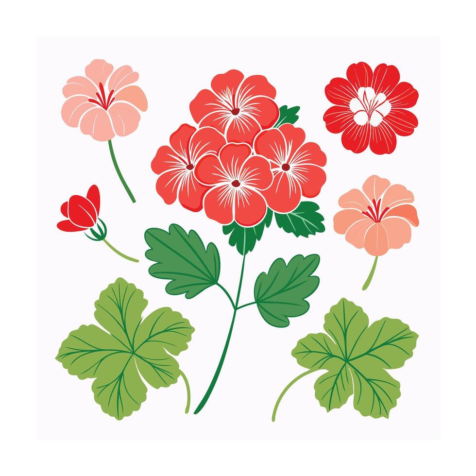 Beautiful Flower Minimalist Floral Illustration vector