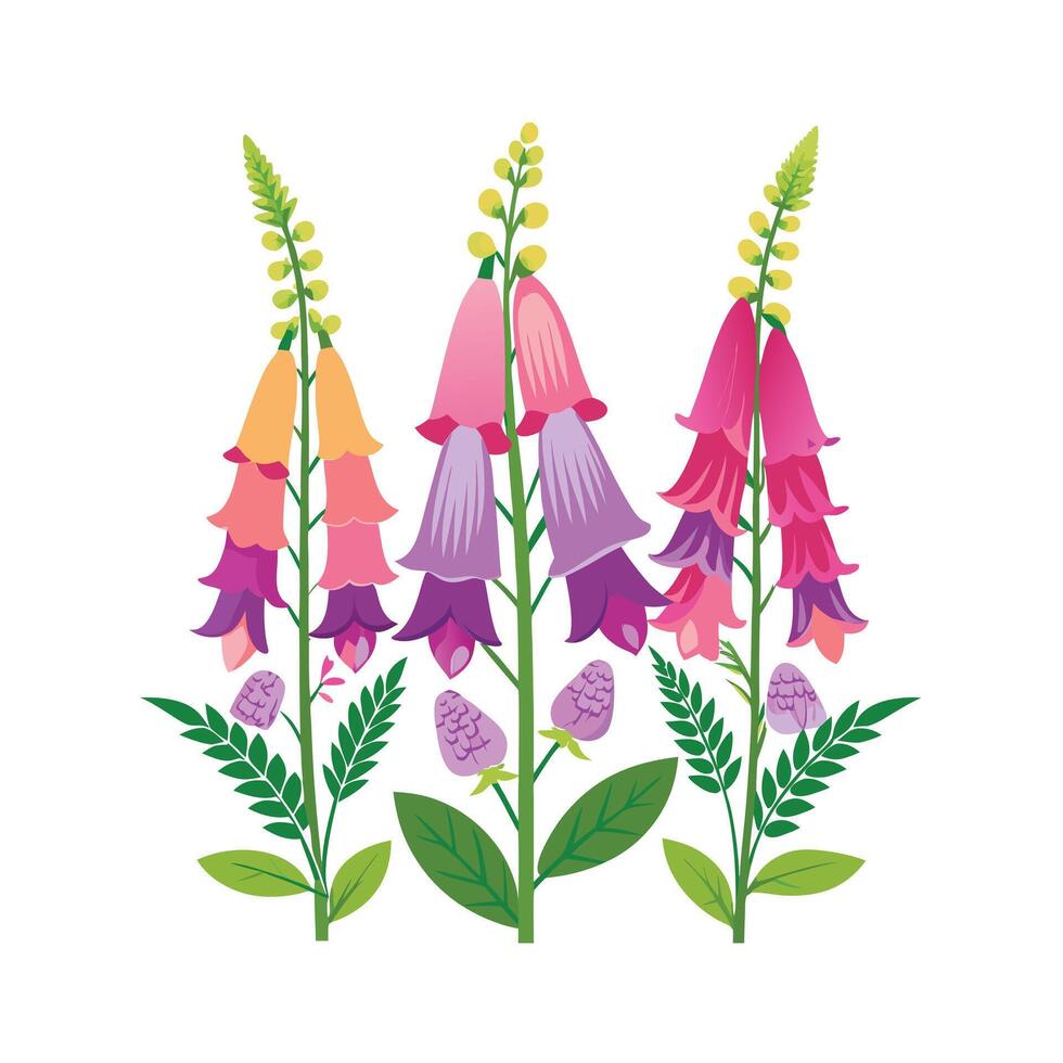 Beautiful Flower Minimalist Floral Illustration vector