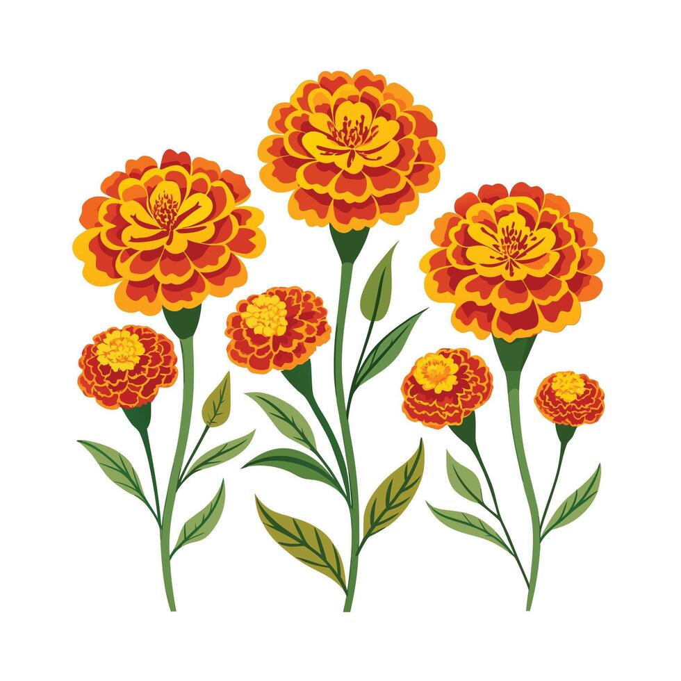 Beautiful Flower Minimalist Floral Illustration vector
