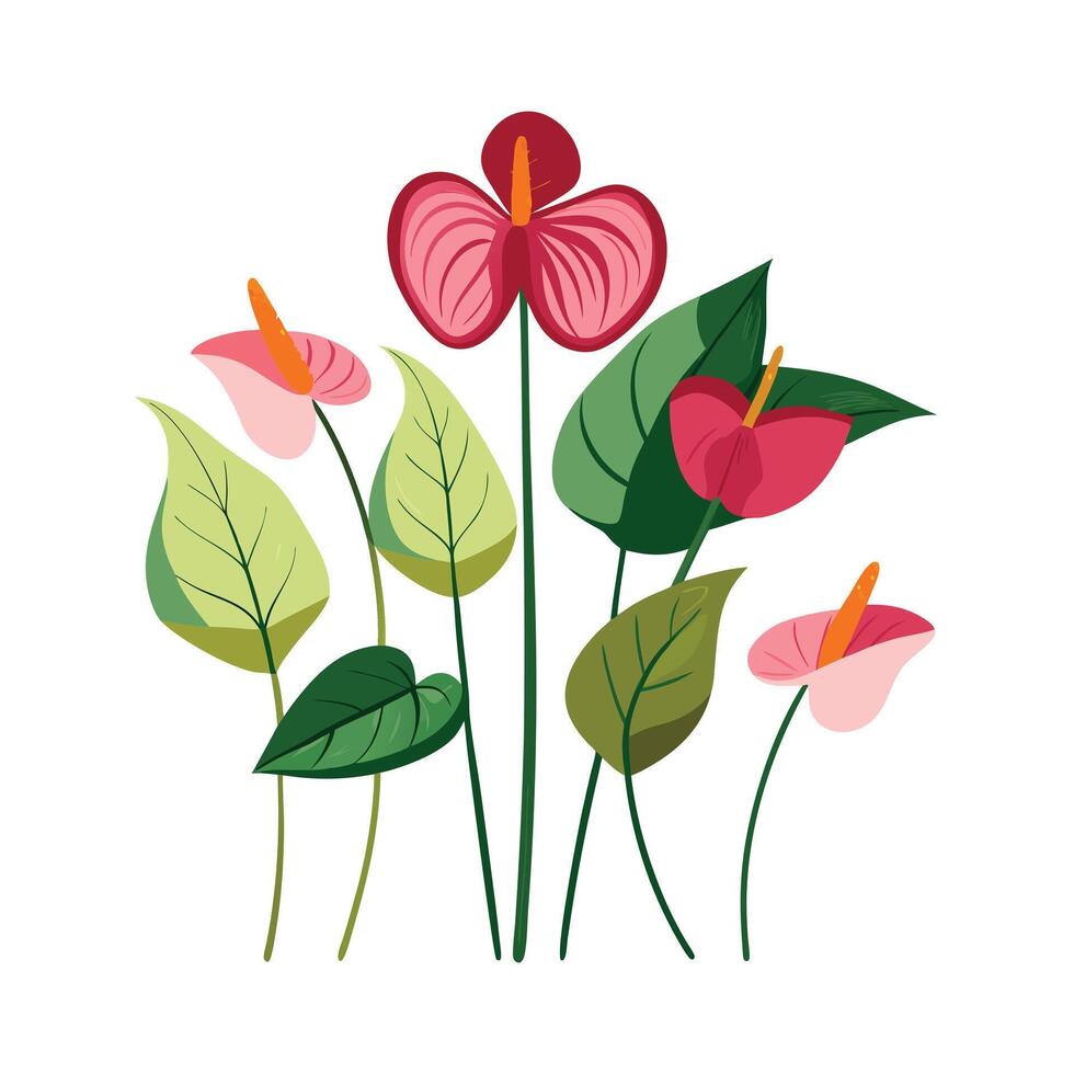 Beautiful Flower Minimalist Floral Illustration vector
