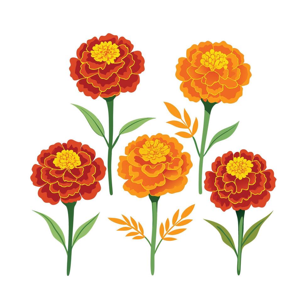 Beautiful Flower Minimalist Floral Illustration vector