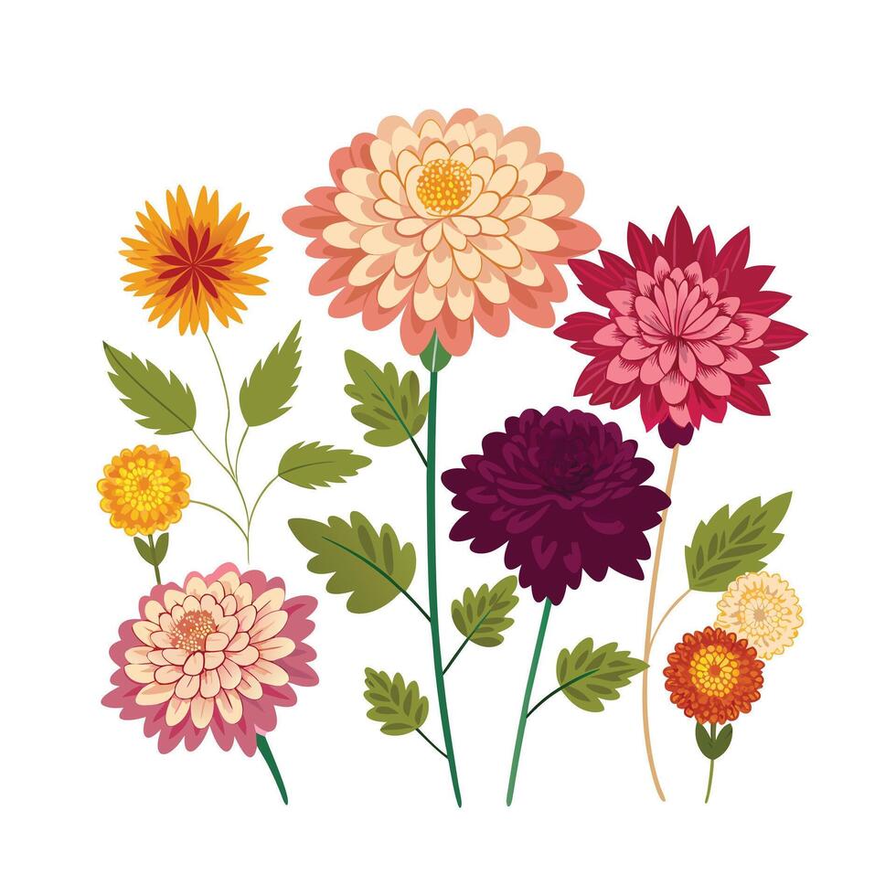 Beautiful Flower Minimalist Floral Illustration vector