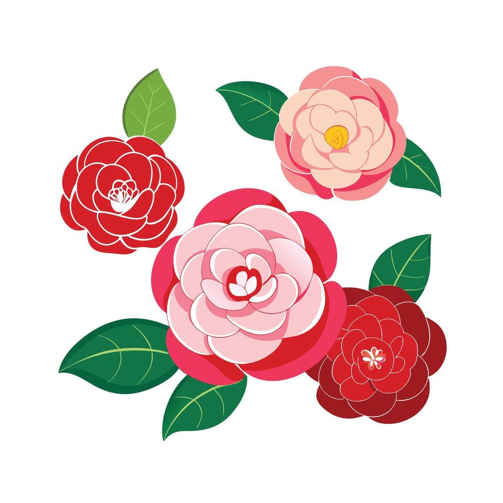 Beautiful Flower Minimalist Floral Illustration vector