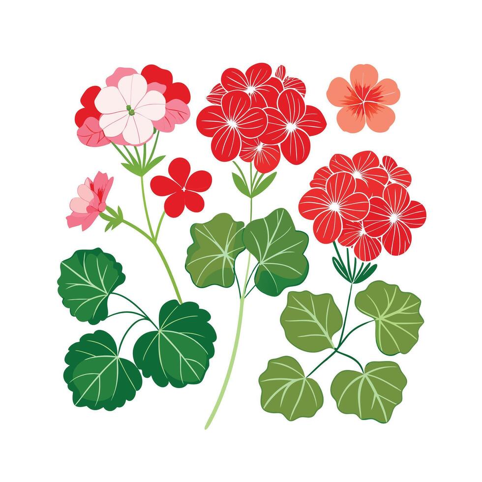 Beautiful Flower Minimalist Floral Illustration vector
