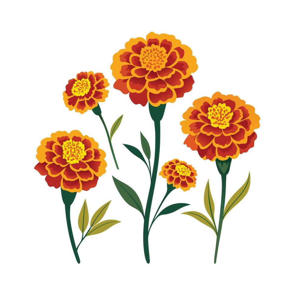 Beautiful Flower Minimalist Floral Illustration vector