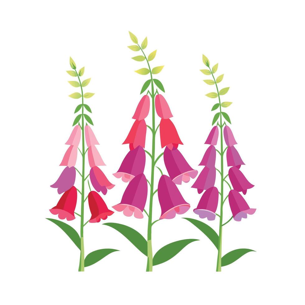 Beautiful Flower Minimalist Floral Illustration vector