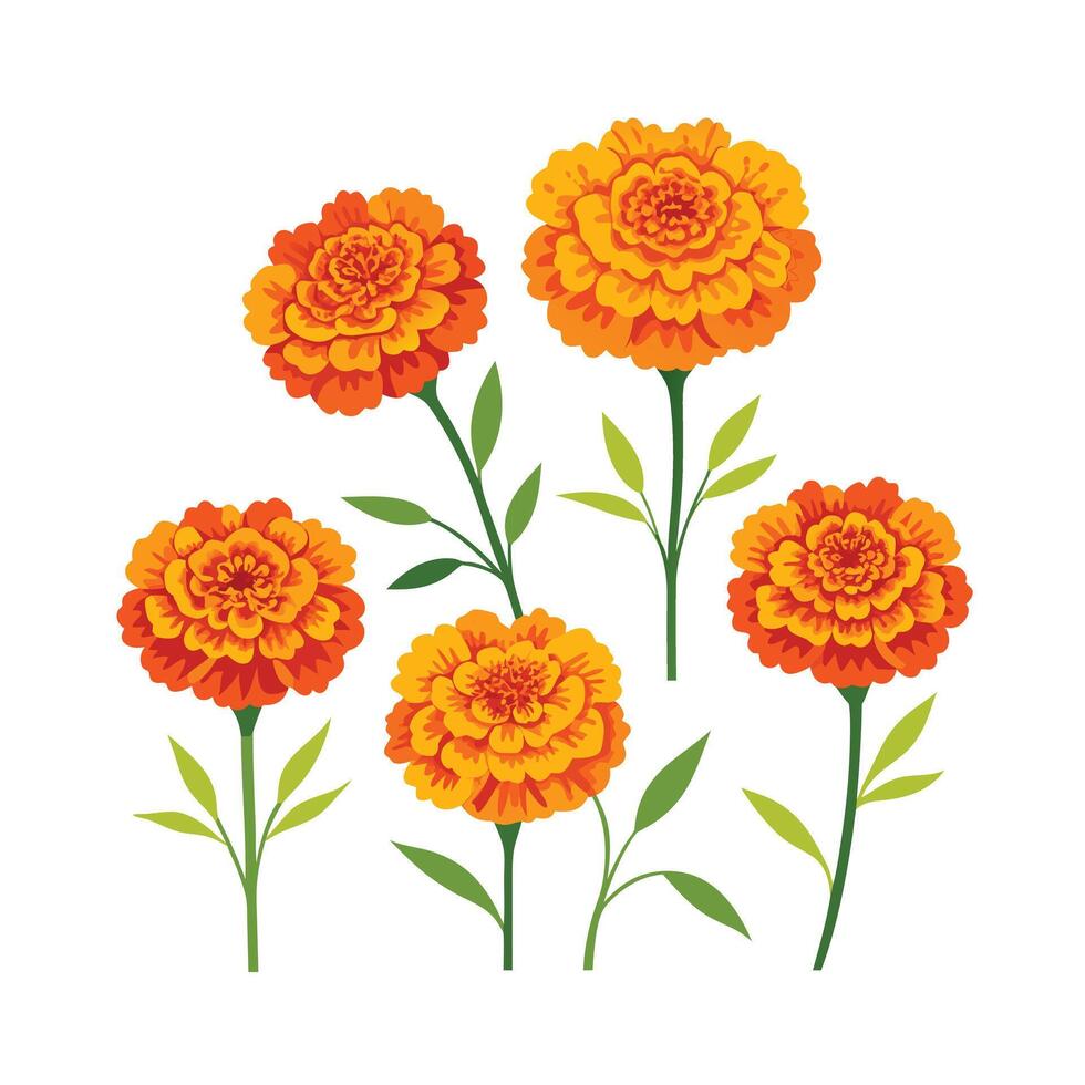 Beautiful Flower Minimalist Floral Illustration vector