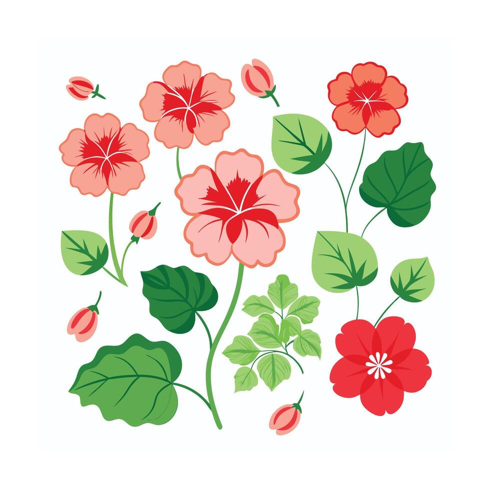 Beautiful Flower Minimalist Floral Illustration vector