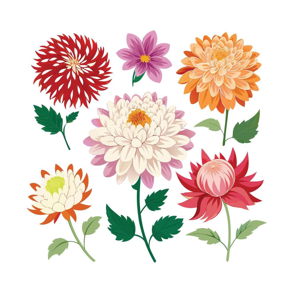 Beautiful Flower Minimalist Floral Illustration vector