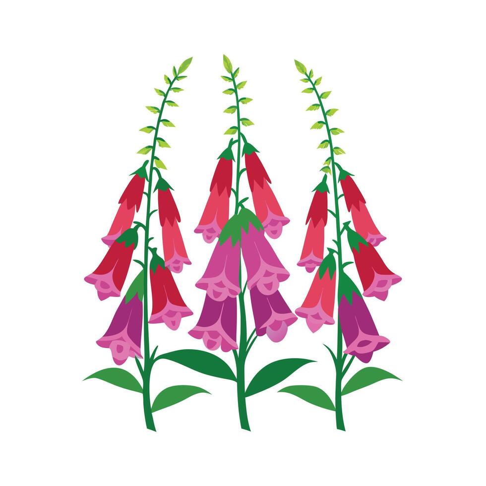 Beautiful Flower Minimalist Floral Illustration vector