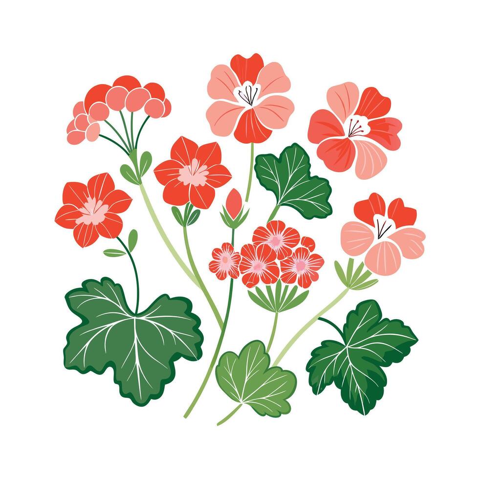 Beautiful Flower Minimalist Floral Illustration vector