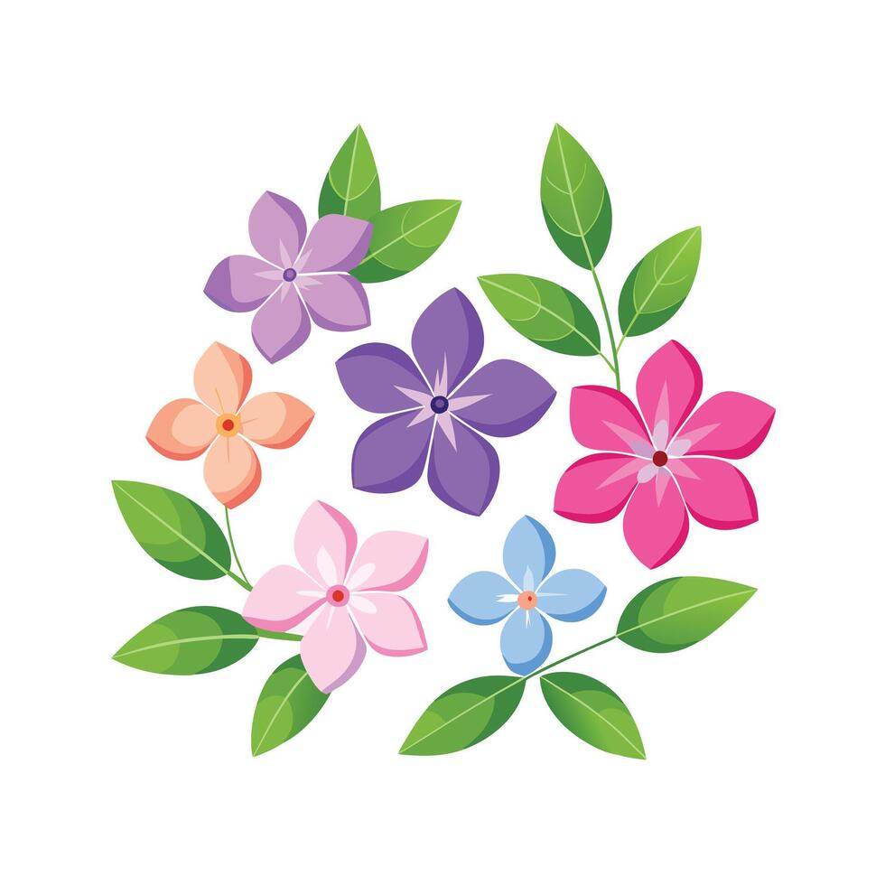 Beautiful Flower Minimalist Floral Illustration vector