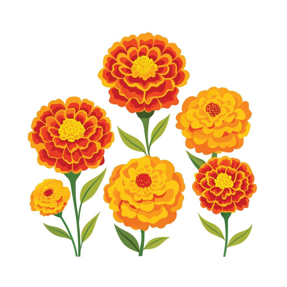 Beautiful Flower Minimalist Floral Illustration vector