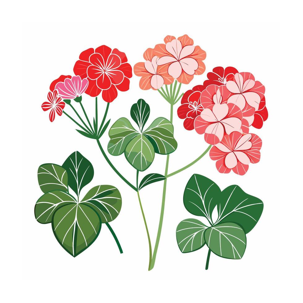 Beautiful Flower Minimalist Floral Illustration vector