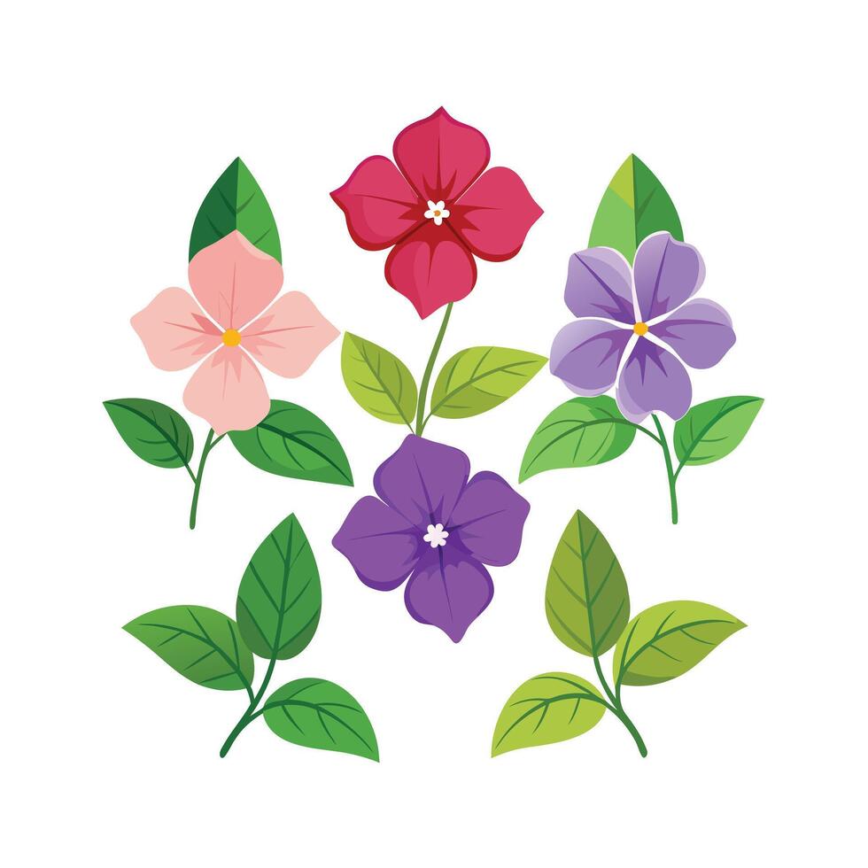 Beautiful Flower Minimalist Floral Illustration vector