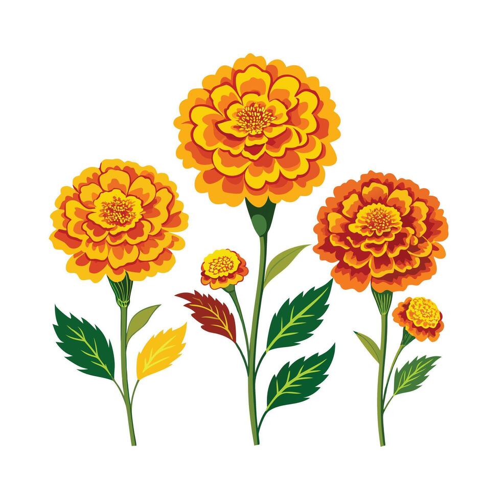 Beautiful Flower Minimalist Floral Illustration vector