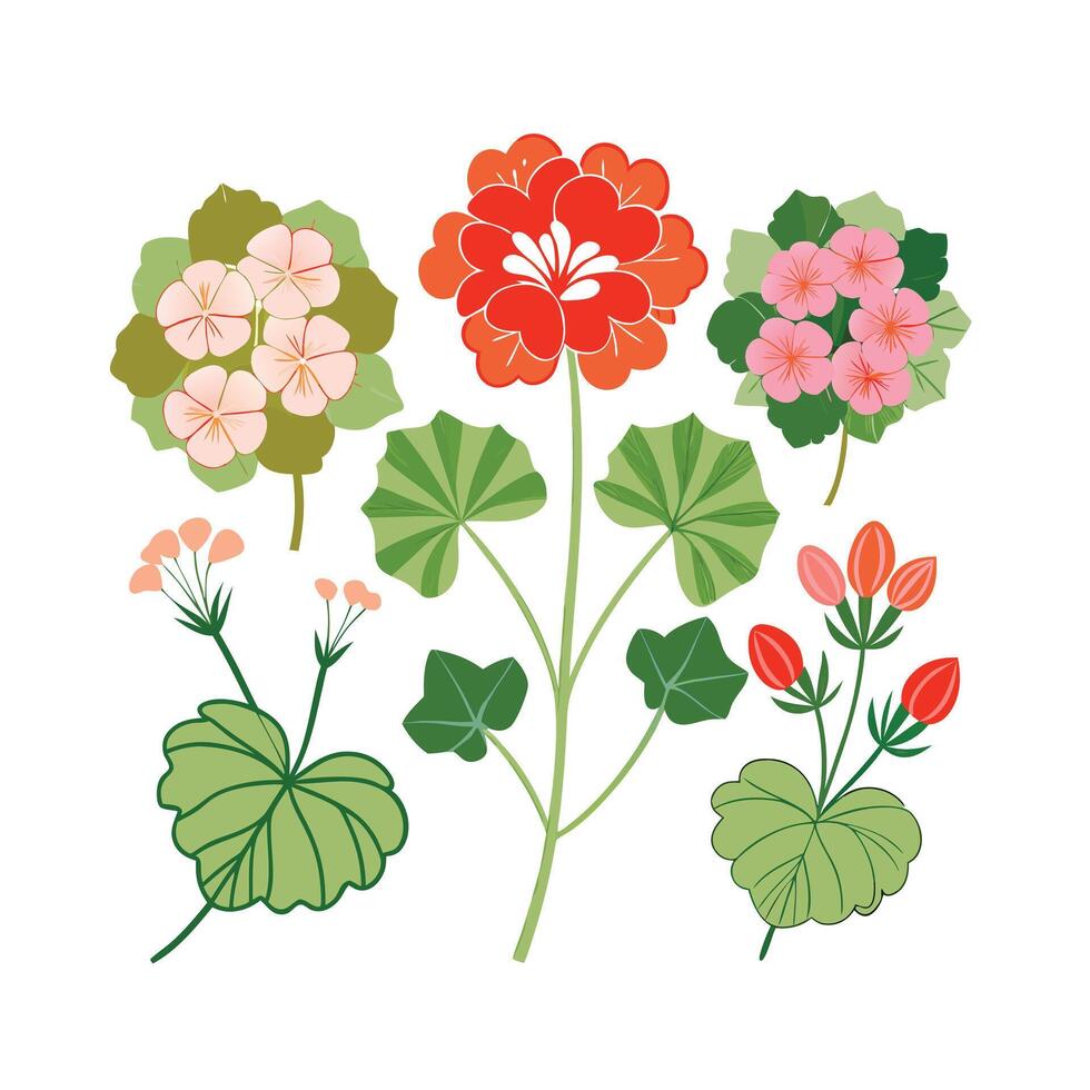 Beautiful Flower Minimalist Floral Illustration vector