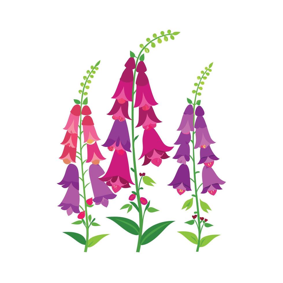 Beautiful Flower Minimalist Floral Illustration vector