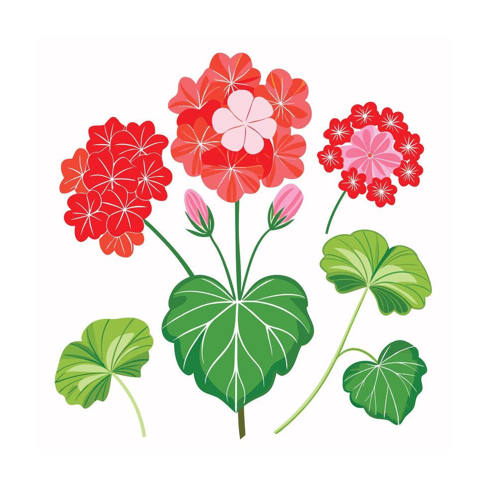 Beautiful Flower Minimalist Floral Illustration vector