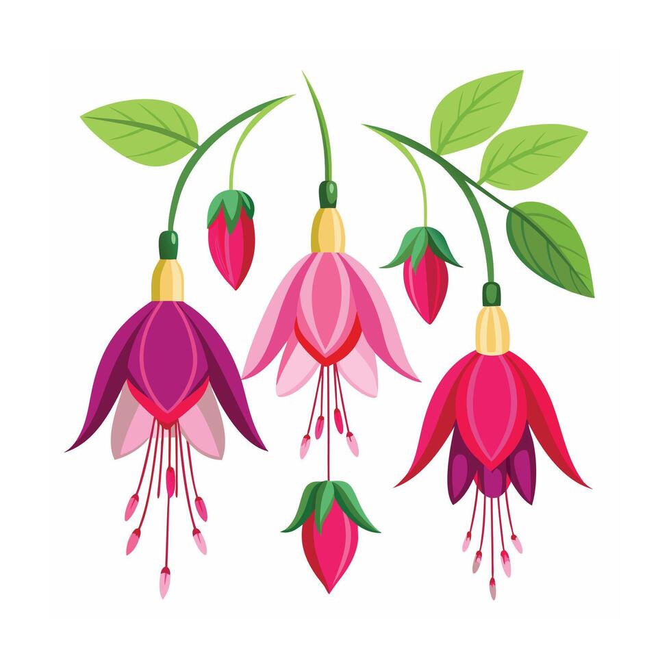 Beautiful Flower Minimalist Floral Illustration vector