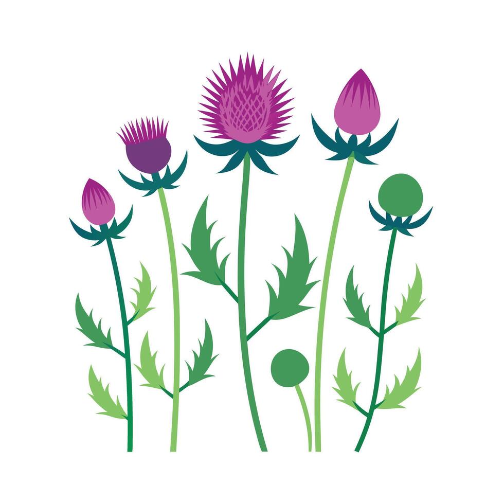 Beautiful Flower Minimalist Floral Illustration vector
