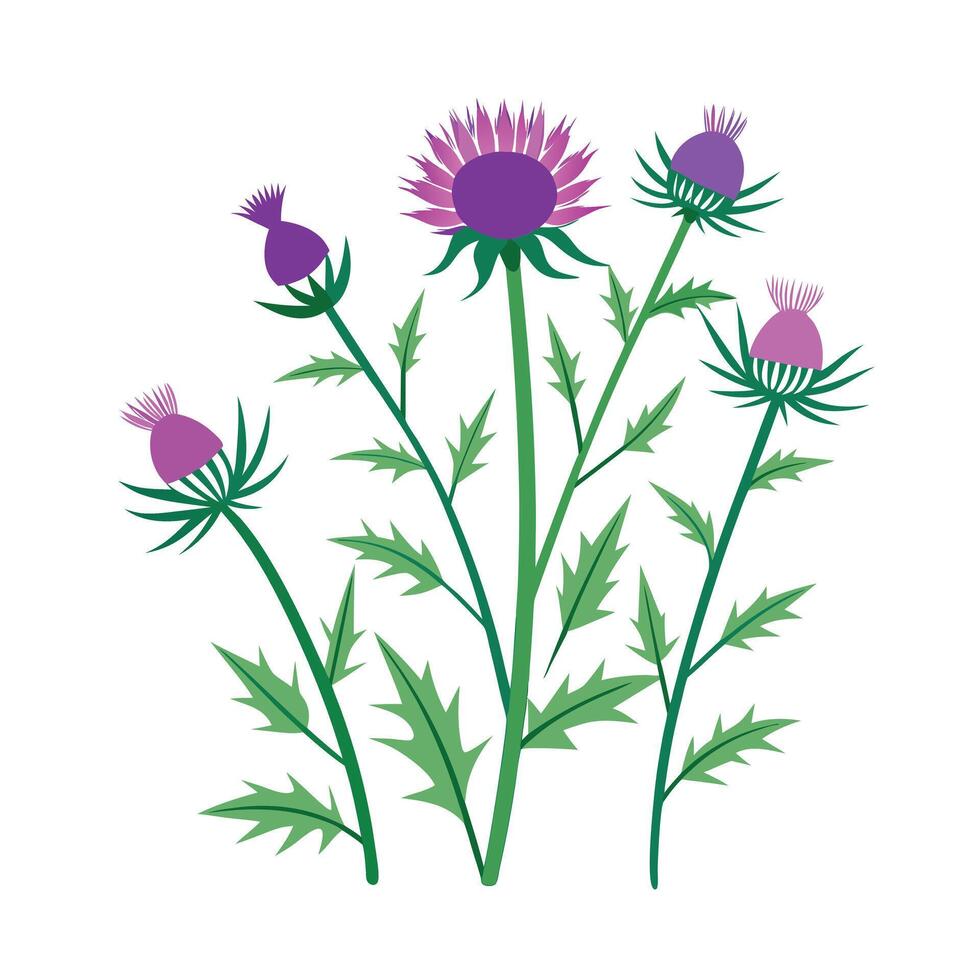 Beautiful Flower Minimalist Floral Illustration vector
