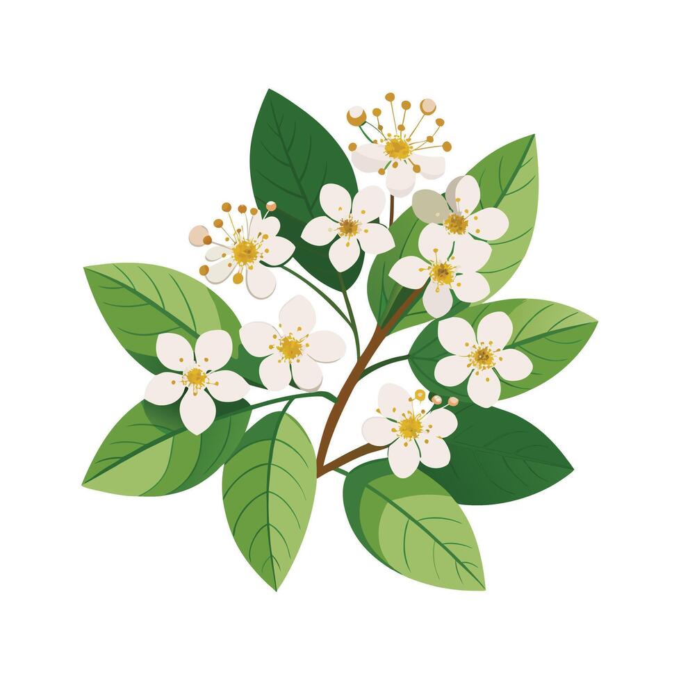 Beautiful Flower Minimalist Floral Illustration vector