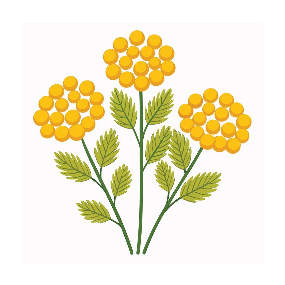 Beautiful Flower Minimalist Floral Illustration vector