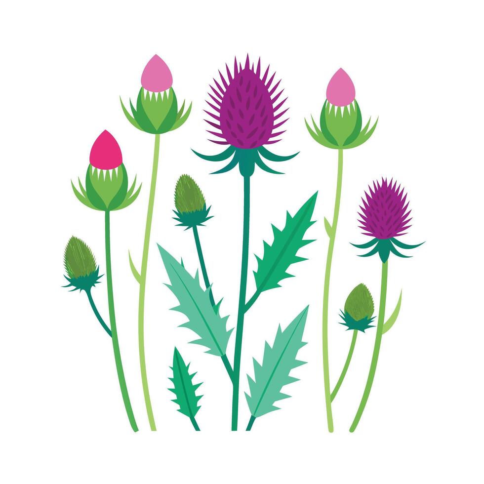 Beautiful Flower Minimalist Floral Illustration vector