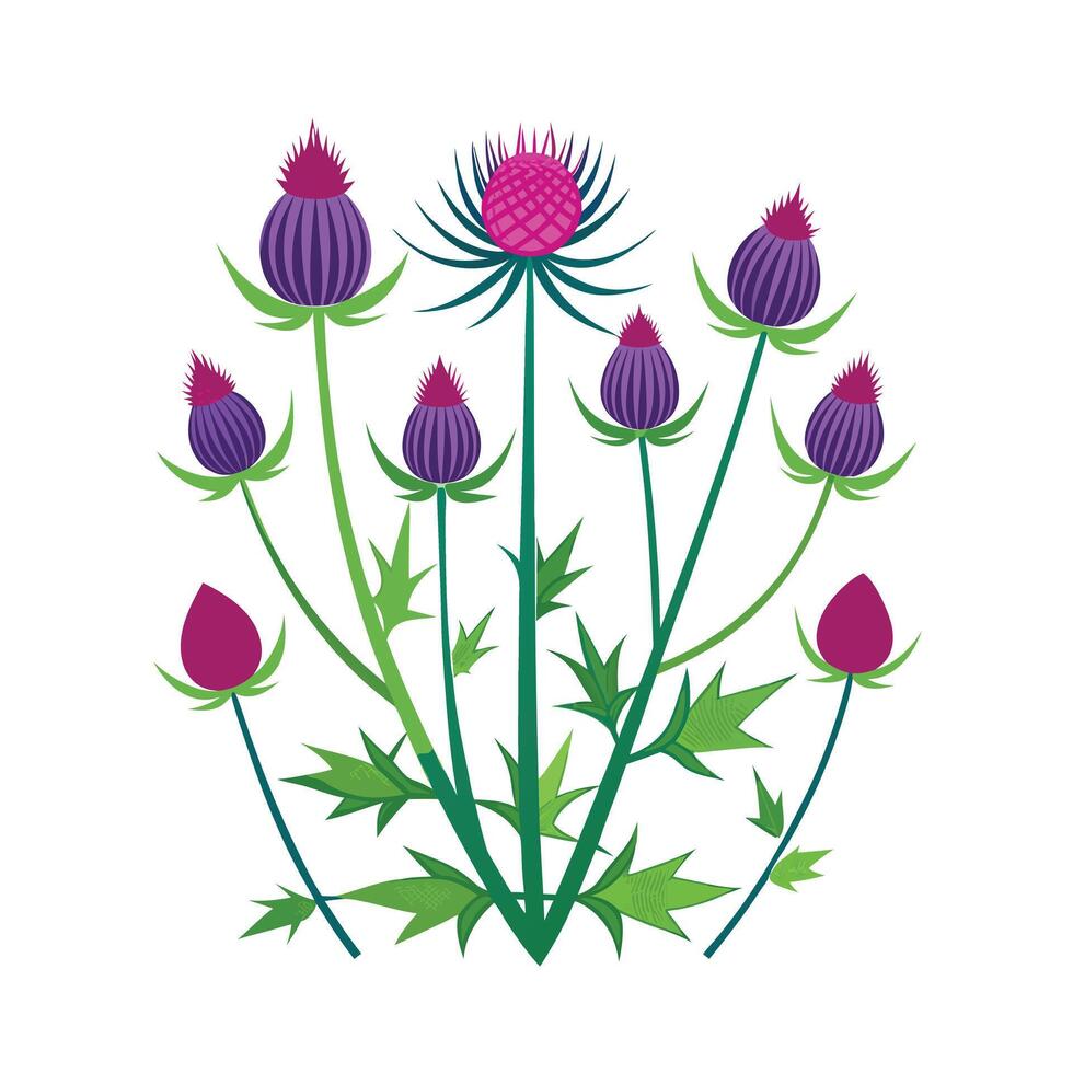 Beautiful Flower Minimalist Floral Illustration vector