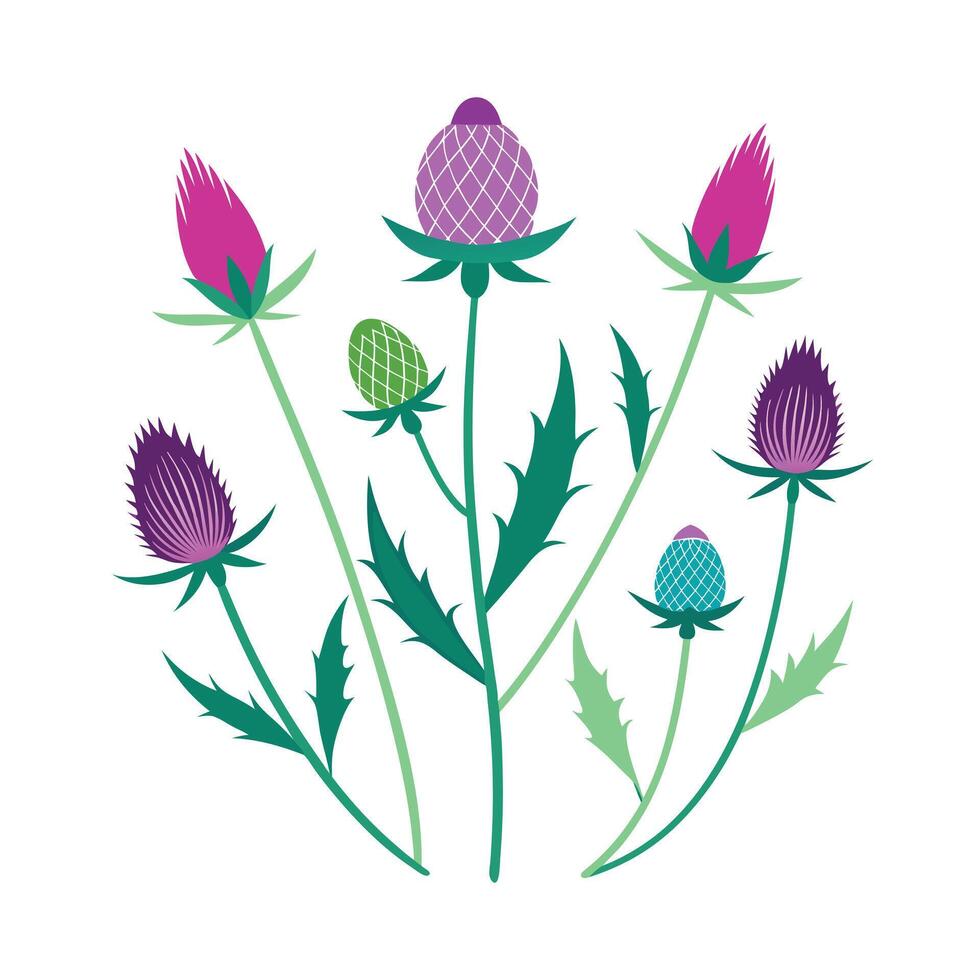 Beautiful Flower Minimalist Floral Illustration vector